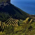 La Falaise Paradis Vue 180° * Cassis