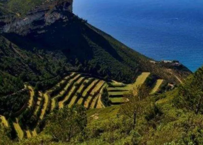 La Falaise Paradis Vue 180° * Cassis